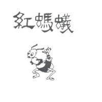 紅螞蟻及圖