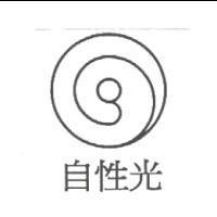 自性光及圖