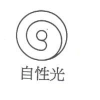 自性光及圖