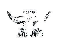 飛駝及圖 FEITUO 