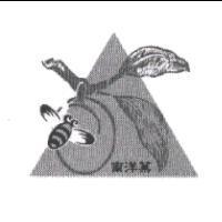 南洋菓及圖
