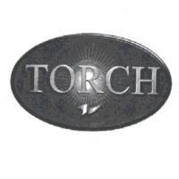 TORCH LOGO