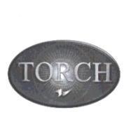 TORCH LOGO