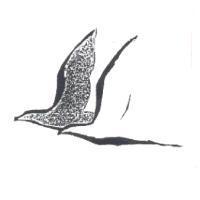 鳥圖