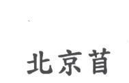 北京苜
