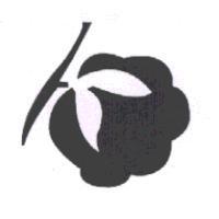 花朵形設計圖