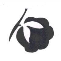 花朵形設計圖