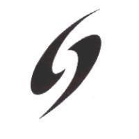 炫麗金 shining 英文 S 的設計圖案