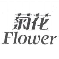 菊花 FLOWER