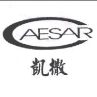 凱撒 CAESAR 及圖