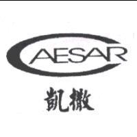 凱撒 CAESAR 及圖