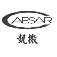凱撒 CAESAR 及圖