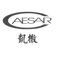 凱撒 CAESAR 及圖