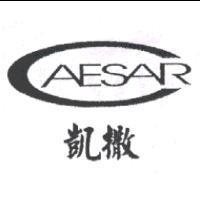 凱撒 CAESAR 及圖