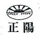 正陽及圖 CHERN YOUNG 