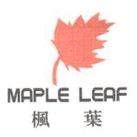 楓葉 MAPLE LEAF 及圖