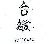 台纖 GUT POWER 