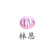 林恩及圖 LYNN