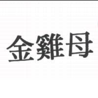 金雞母