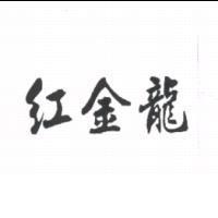 紅金龍