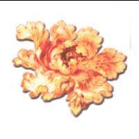 花形設計圖