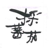 採蕃茄