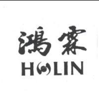 鴻霖 HOLIN