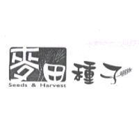 麥田種子設計圖 Seeds & Harvest 及圖