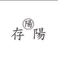 存陽及陽