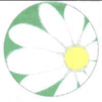 菊花圖