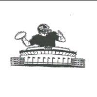 GIANTS SECONDARY LOGO