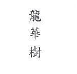 龍華樹