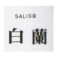 白蘭 SALISB