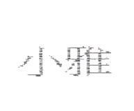 小雅