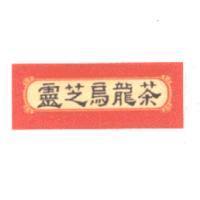 靈芝烏龍茶及圖
