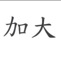 加大