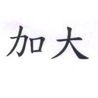 加大