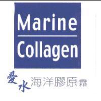 愛水海洋膠原霜中英文及圖