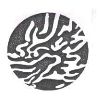 龍頭圖