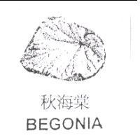 秋海棠及圖 BEGONIA