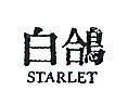 白鴿及圖 STARLET 