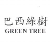 巴西綠樹 GREEN TREE
