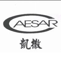 凱撒 CAESAR 及圖