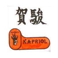 賀駿 KAPRIOL 及圖