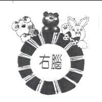 右腦及圖