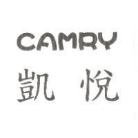 凱悅 CAMRY