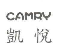 凱悅 CAMRY