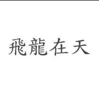 飛龍在天