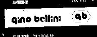 GINO BELLINI DEVICE 
