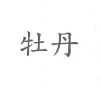 牡丹